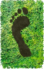 Carbon Footprint